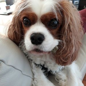 Meet your Posher, Donna